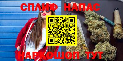 сатива Канаш
